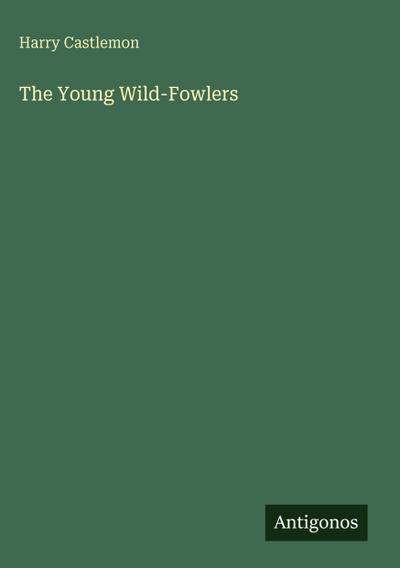 The Young Wild-Fowlers