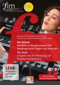 Die Stimme