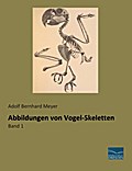 Abbildungen von Vogel-Skeletten 1