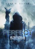 Perfect Storm (Lethal Men Series, #4)