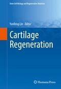 Cartilage Regeneration