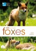 RSPB Spotlight: Foxes