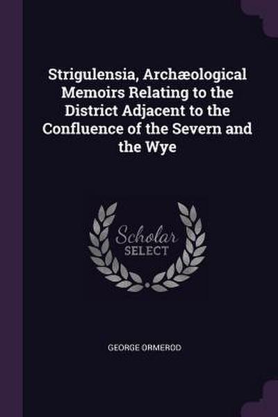 Strigulensia, Archæological Memoirs Relating to the District Adjacent to the Confluence of the Severn and the Wye
