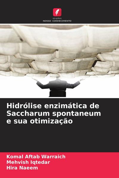 Hidrólise enzimática de Saccharum spontaneum e sua otimização