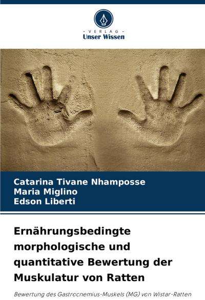 Ernährungsbedingte morphologische und quantitative Bewertung der Muskulatur von Ratten