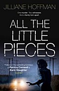 All the Little Pieces