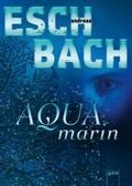 Aquamarin (1) von Andreas Eschbach | Ebook
