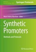 Synthetic Promoters