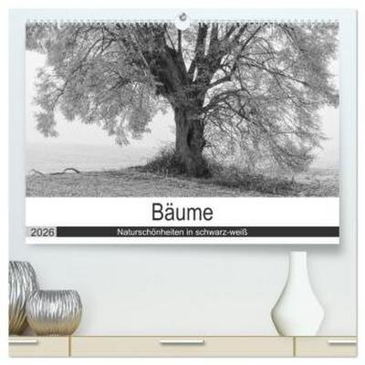 Bäume - Naturschönheiten in schwarz-weiß (hochwertiger Premium Wandkalender 2026 DIN A2 quer), Kunstdruck in Hochglanz