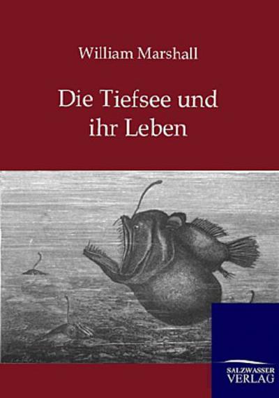 Die Tiefsee und ihr Leben