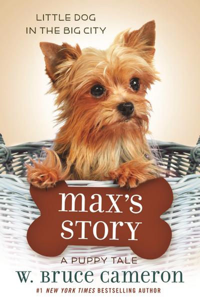 Max’s Story