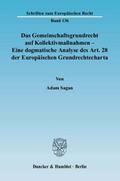 Das Gemeinschaftsgrundrecht auf Kollektivmaßnahmen