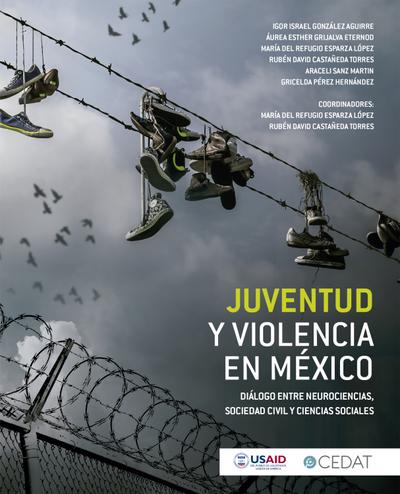 Juventud y violencia en México
