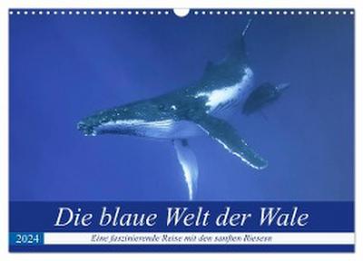 Die blaue Welt der Wale (Wandkalender 2024 DIN A3 quer), CALVENDO Monatskalender