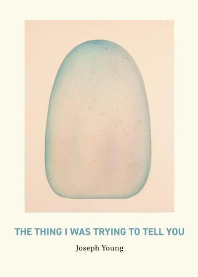 The Thing I Was Trying to Tell You