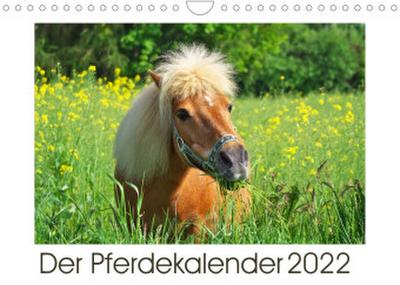 Der Pferdekalender (Wandkalender 2022 DIN A4 quer)