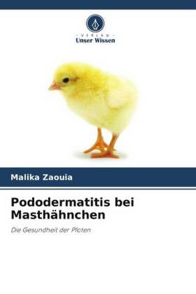 Pododermatitis bei Masthähnchen
