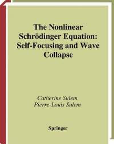 The Nonlinear Schrödinger Equation
