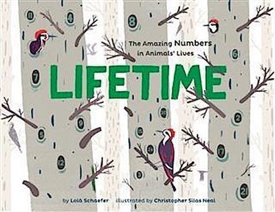 Lifetime