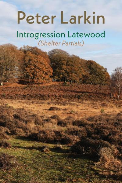 Introgression Latewood