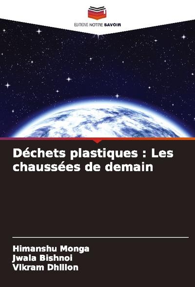 Déchets plastiques : Les chaussées de demain