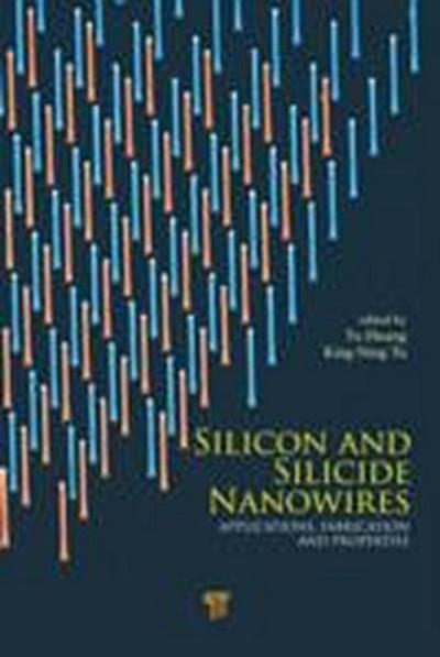 Silicon and Silicide Nanowires