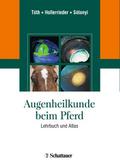 Augenheilkunde beim Pferd