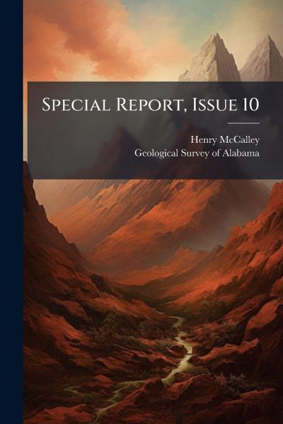 Special Report, Issue 10