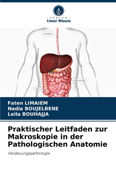 Praktischer Leitfaden zur Makroskopie in der Pathologischen Anatomie