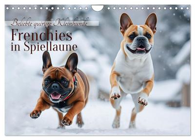 Frenchies in Spiellaune (Wandkalender 2026 DIN A4 quer), CALVENDO Monatskalender