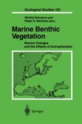 Marine Benthic Vegetation