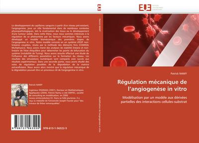Régulation mécanique de l’angiogenèse in vitro