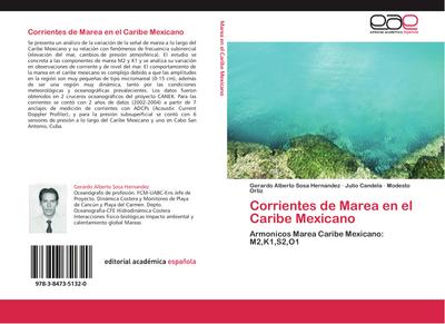 Corrientes de Marea en el Caribe Mexicano