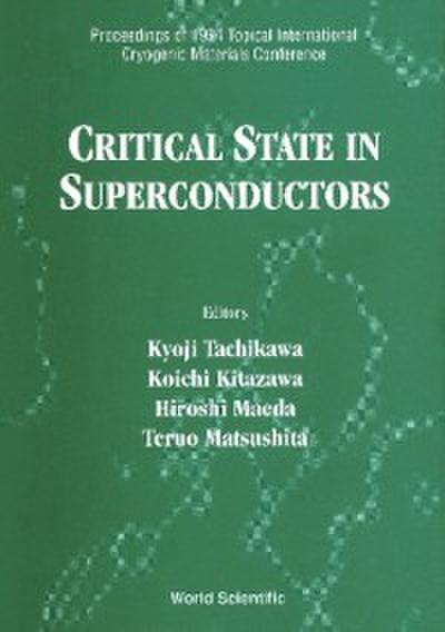 Critical State In Superconductors - Proceedings Of 1994 Topical International Cryogenic Materials Conference
