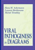 Viral Pathogenesis in Diagrams