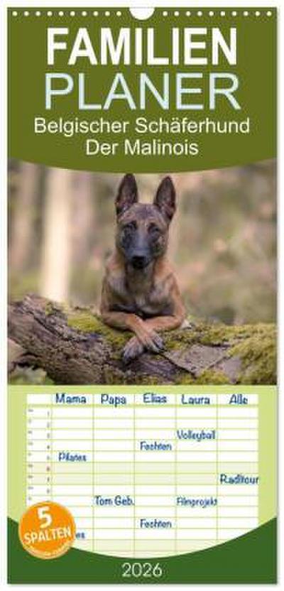 Familienplaner 2026 - Belgischer Schäferhund - Der Malinois mit 5 Spalten (Wandkalender, 21 x 45 cm) CALVENDO