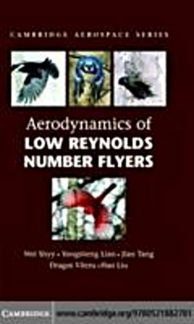 Aerodynamics of Low Reynolds Number Flyers