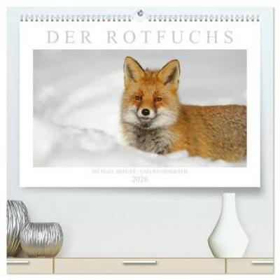 Der Rotfuchs (hochwertiger Premium Wandkalender 2026 DIN A2 quer), Kunstdruck in Hochglanz