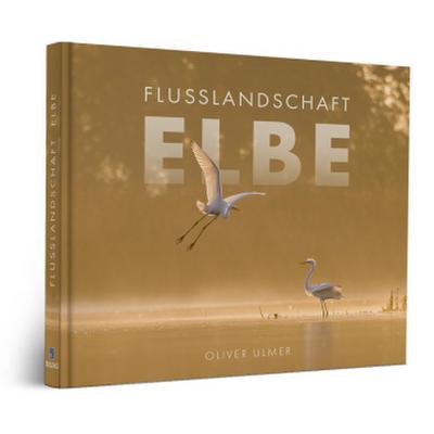 Flusslandschaft Elbe