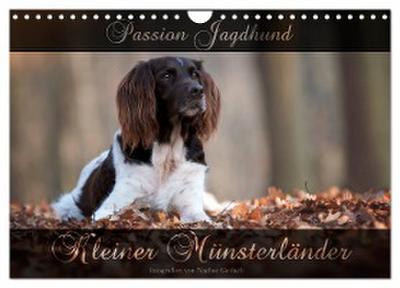 Passion Jagdhund - Kleiner Münsterländer (Wandkalender 2024 DIN A4 quer), CALVENDO Monatskalender