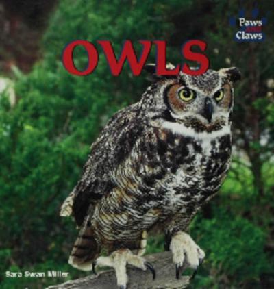 Owls