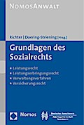 Grundlagen des Sozialrechts