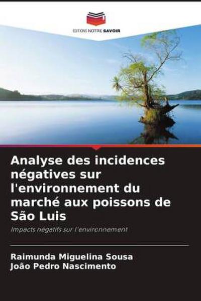 Analyse des incidences négatives sur l’environnement du marché aux poissons de São Luis