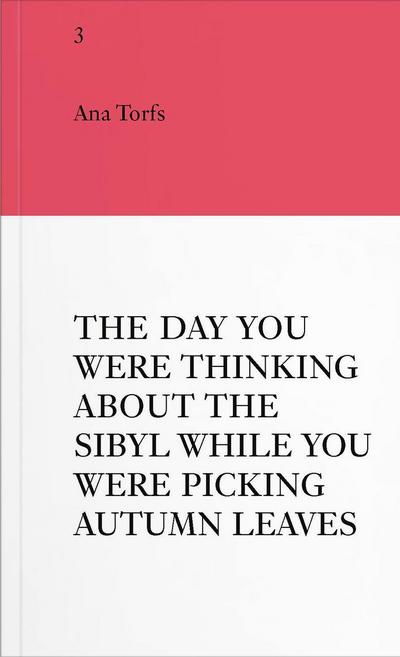 An Insert by Ana Torfs