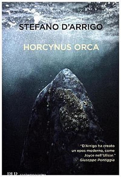 Horcynus Orca