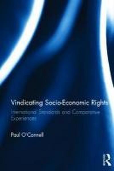 Vindicating Socio-Economic Rights