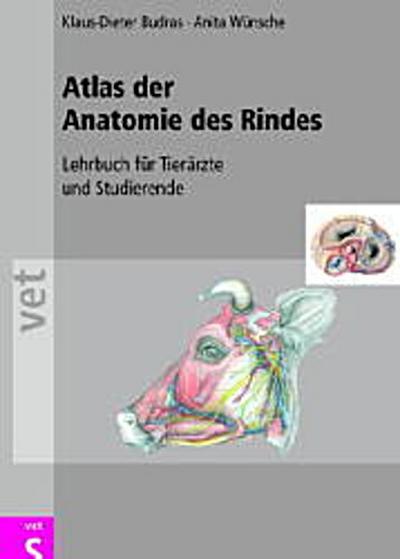 Atlas der Anatomie des Rindes