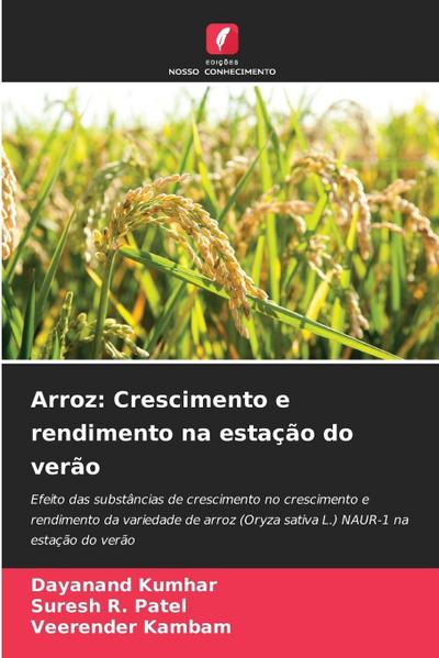 Arroz: Crescimento e rendimento na estação do verão