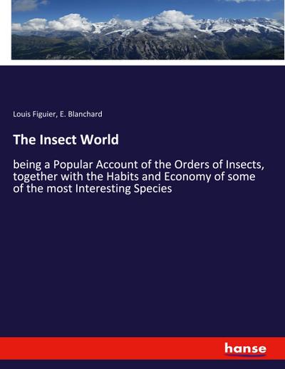 The Insect World