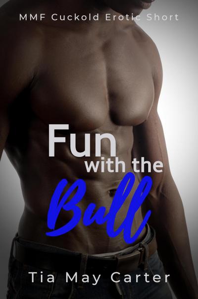 Fun with the Bull (Make Me Gay, #4)